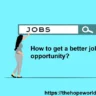 How to get a better job opportunity ?